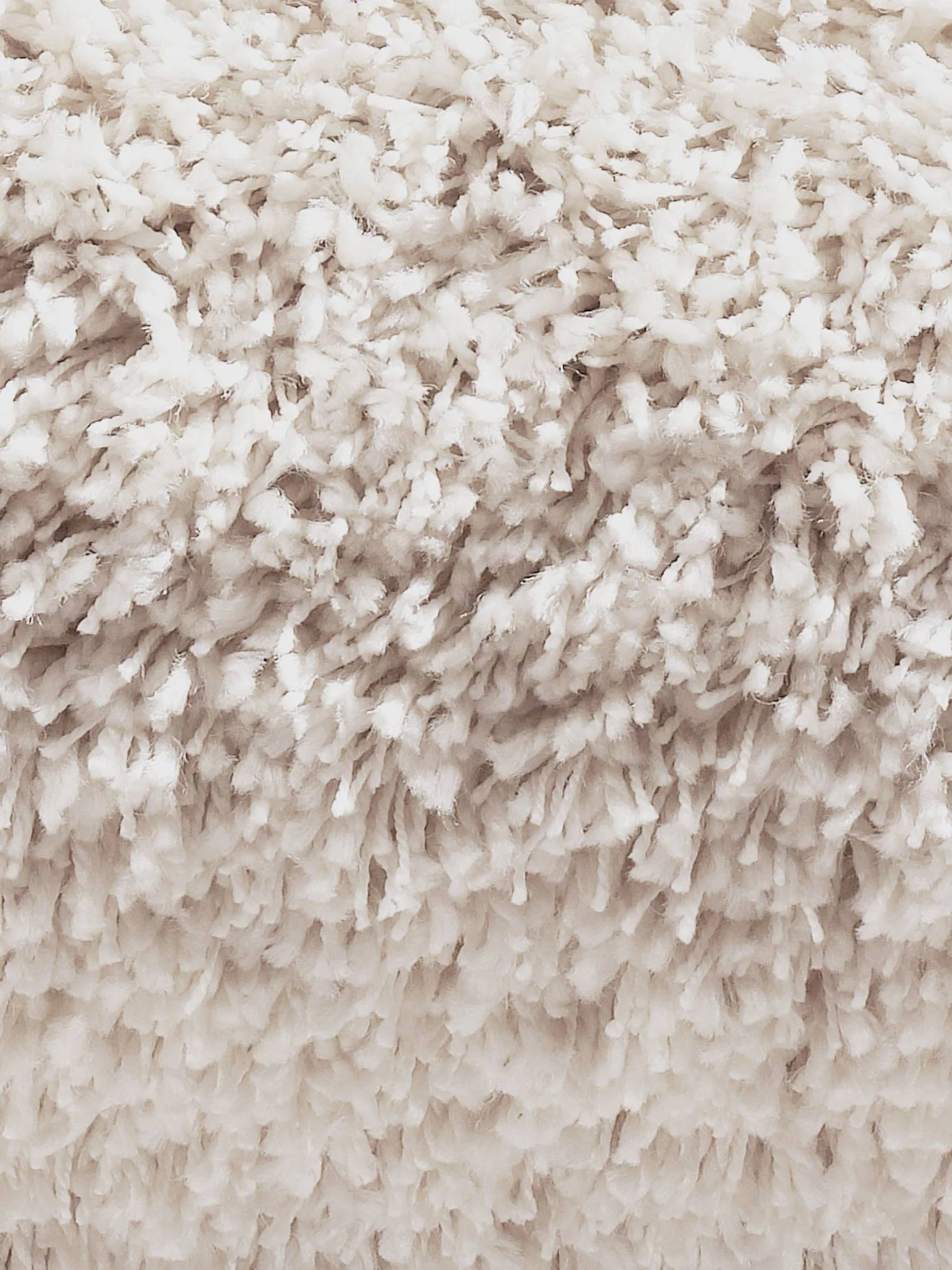 Langflor-Teppichboden, Creme 4 Langflor-Teppichboden, Creme – Bild 4