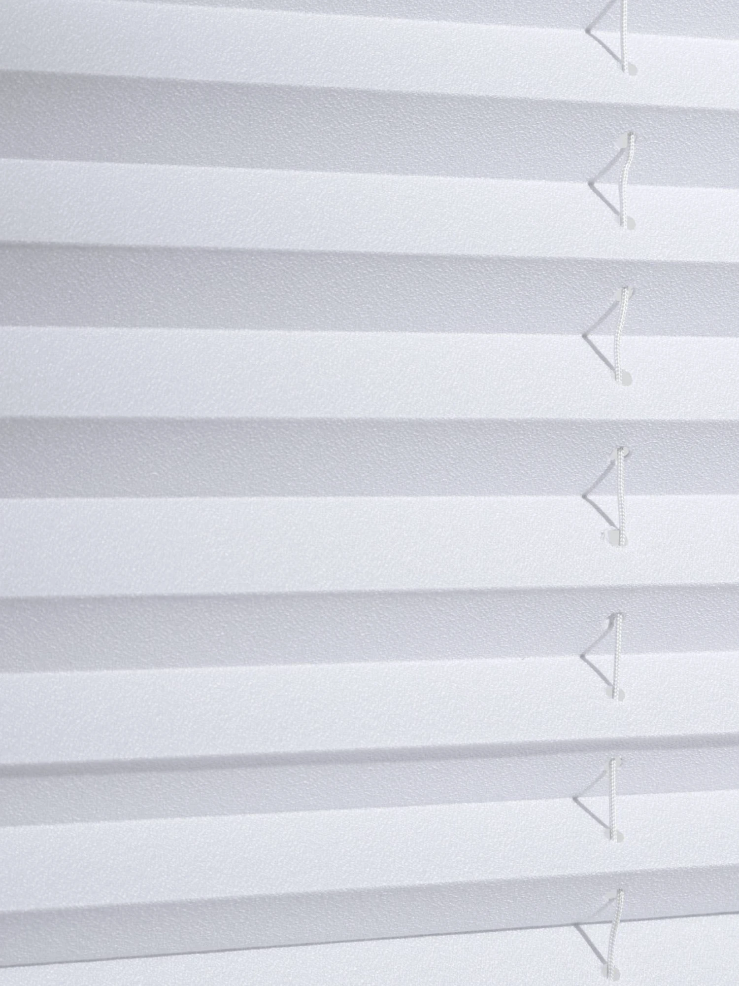 Plissee, Weiss 4 Plissee, Weiss – Bild 4