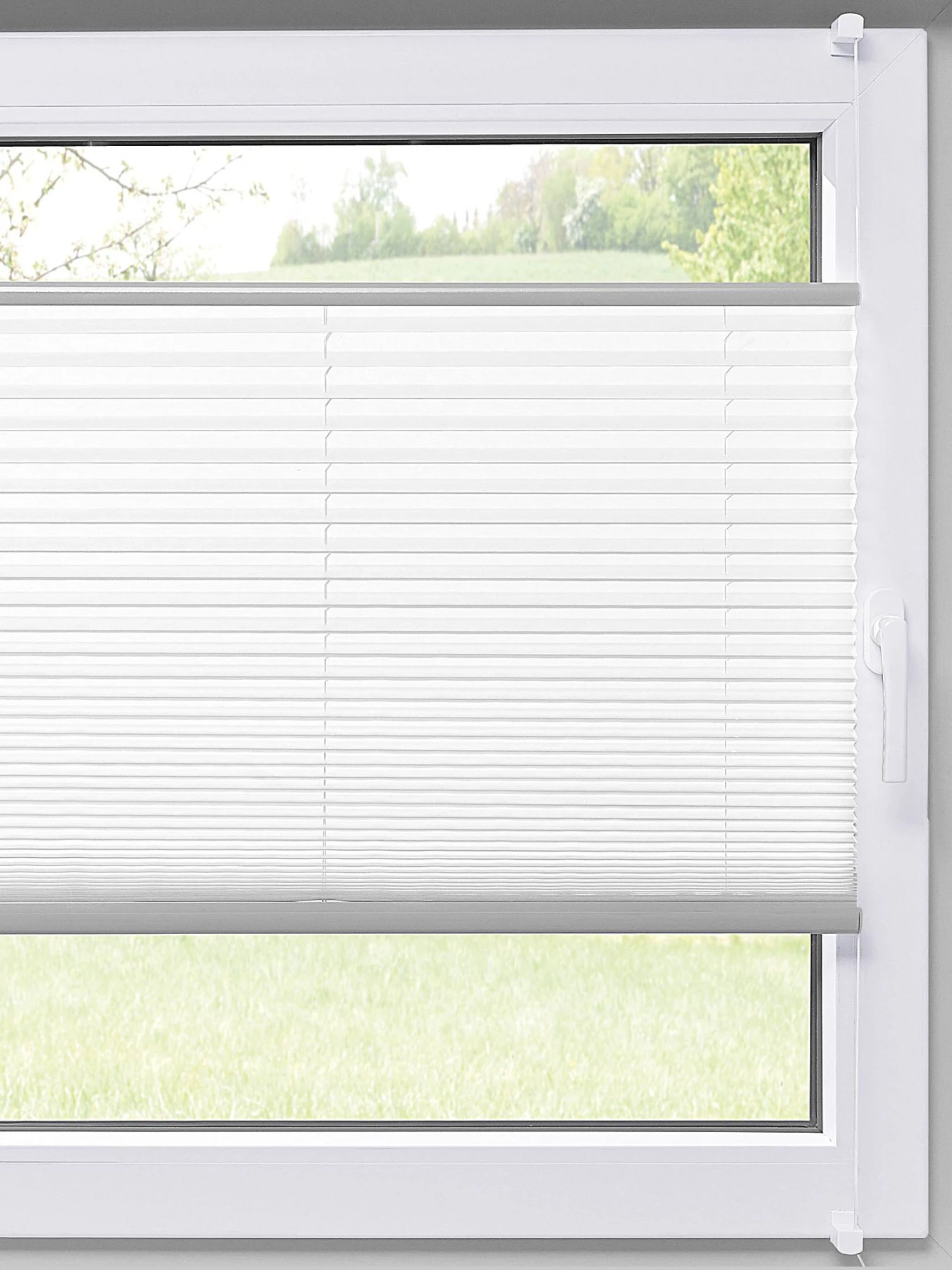 Plissee, Weiss 1 Plissee, Weiss