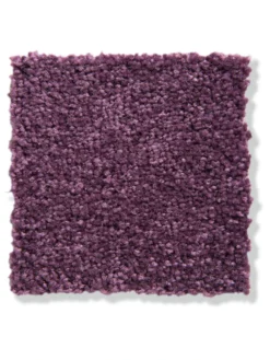 Velours-Teppichboden, Lavendel 115 -Haushaltsgegenstände Geschäft Balance Veloursteppichboden lila lavendel115 lup2