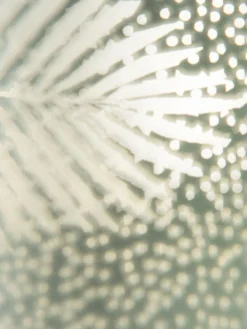 Teelichthalter, Hellgrün -Haushaltsgegenstände Geschäft BlaetterLightUp Teelichthalter Hellgruen 12x12x18 lup2