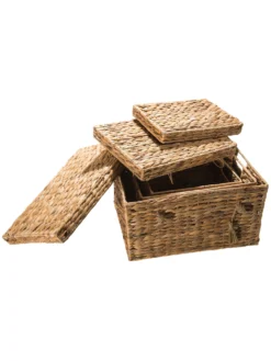 Box, Natur 11 Box, Natur -Haushaltsgegenstände Geschäft BoxTrunk Box Hellbraun Natur set2