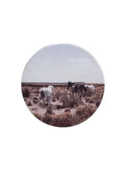 Leinwand Druck, Dunkelbeige -Haushaltsgegenstände Geschäft Canvas3er Bild Natur Grau Dunkelbeige 20rund pla