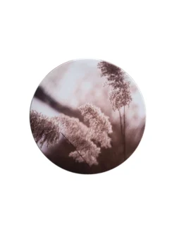 Leinwand Druck, Hellbraun -Haushaltsgegenstände Geschäft Canvas3er Bild Pampas rosa Multicolor 20rund pla