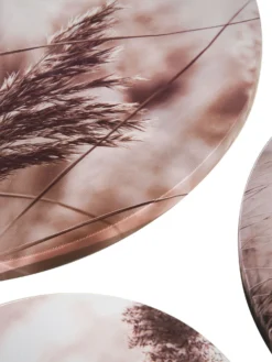 Leinwand Druck, Hellbraun -Haushaltsgegenstände Geschäft Canvas3er Bild Pampas rosa Multicolor 40rund lup