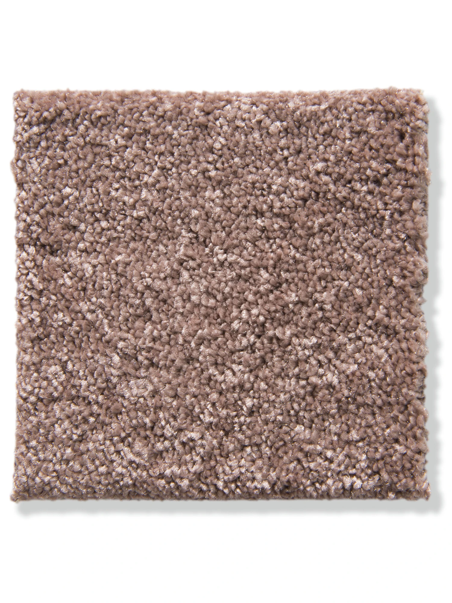 Velours-Teppichboden, Fraise 63 2 Velours-Teppichboden, Fraise 63 – Bild 2