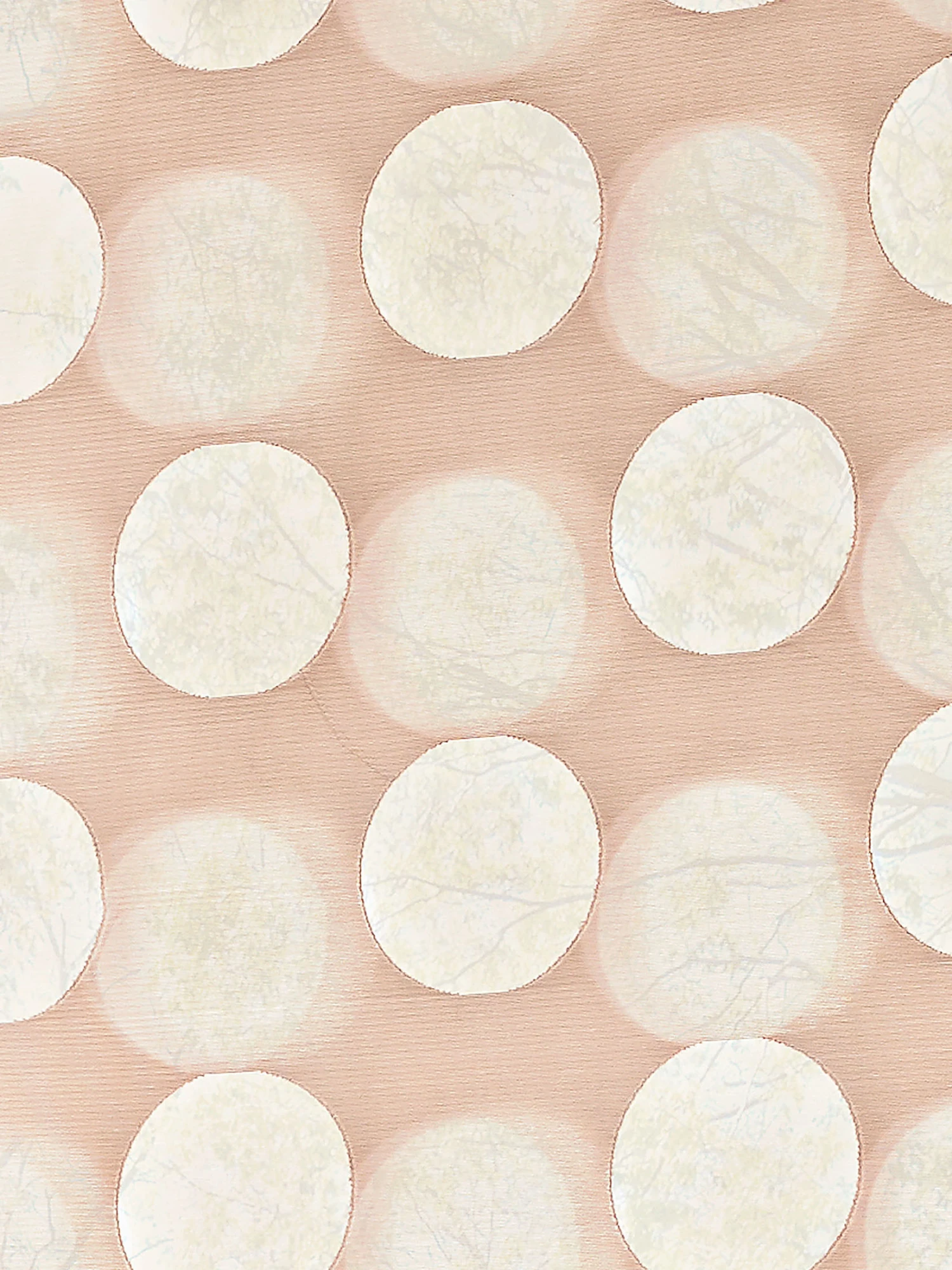 Rollo, Rosé 2 Rollo, Rosé – Bild 2