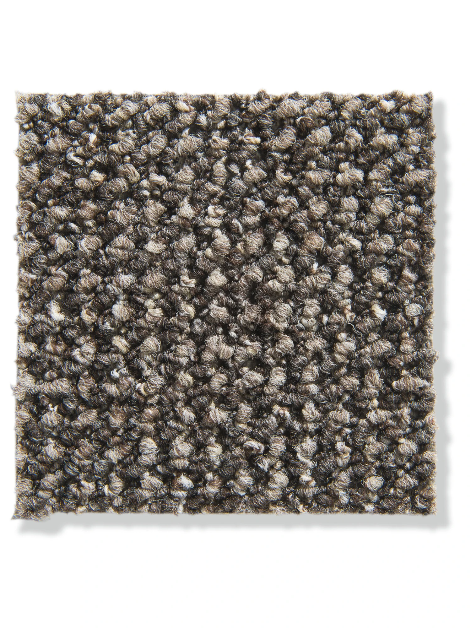 Schlingen-Teppichboden, Dark Brown 25 1 Schlingen-Teppichboden, Dark Brown 25