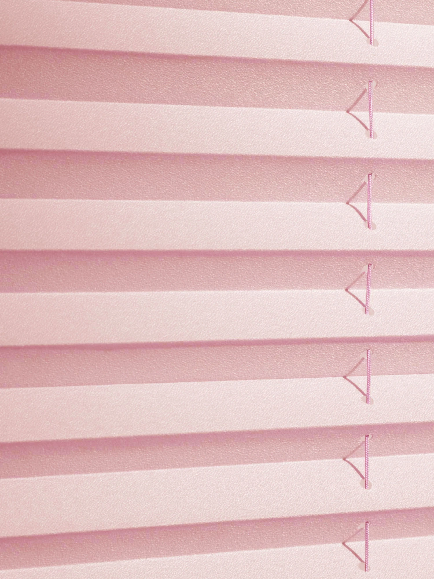 Plissee, Rosé 2 Plissee, Rosé – Bild 2