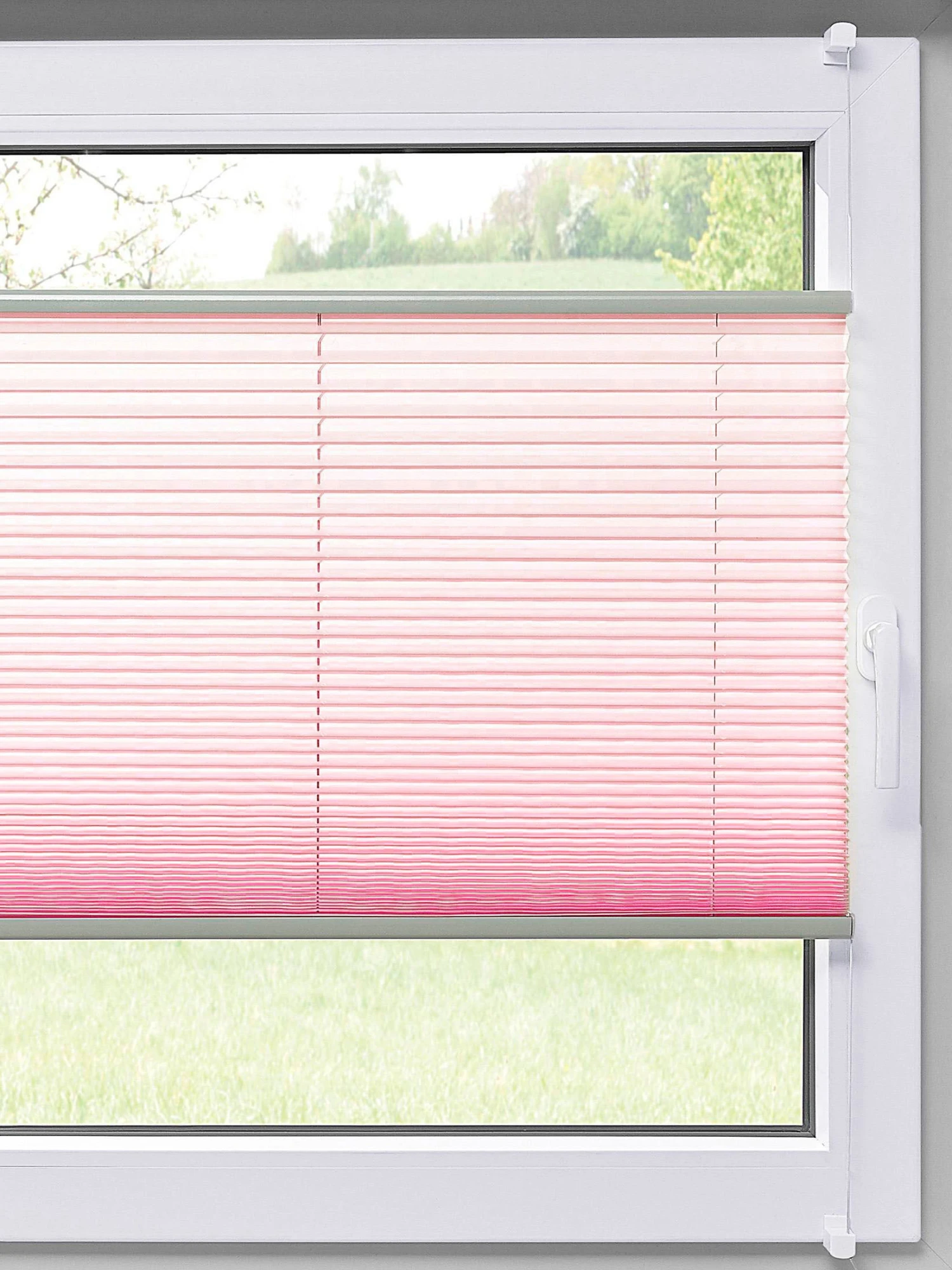 Plissee, Rosé 1 Plissee, Rosé