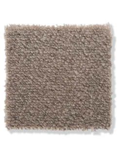 Velours-Teppichboden, Taupe 49 6 Velours-Teppichboden, Taupe 49 -Haushaltsgegenstände Geschäft Emotion Veloursteppichboden graubeige taupe49 lup2