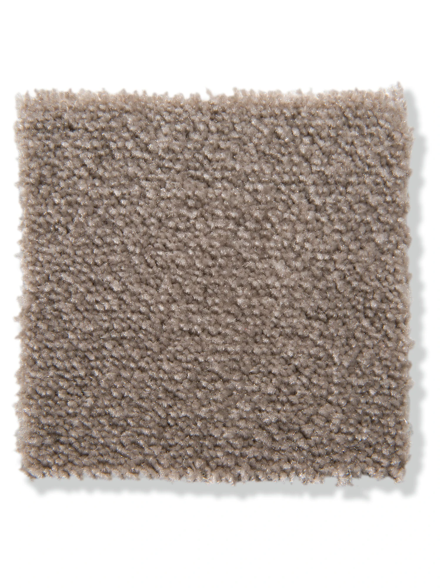 Velours-Teppichboden, Taupe 49 3 Velours-Teppichboden, Taupe 49 – Bild 3
