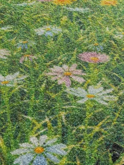 Fußmatte, Grassfield Multi -Haushaltsgegenstände Geschäft Fashion FuC39Fmatte gruen GrassfieldMulti lup