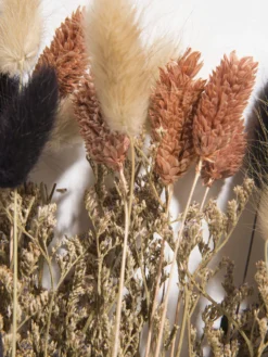 Trockenblume, Multicolor -Haushaltsgegenstände Geschäft Flowerbouquet Trockenblume Mehrfarbig Multicolor 40 lup