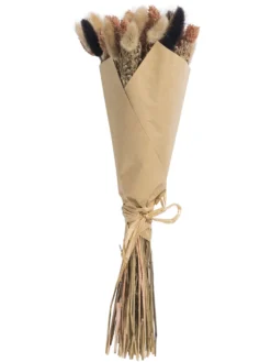 Trockenblume, Multicolor -Haushaltsgegenstände Geschäft Flowerbouquet Trockenblume Mehrfarbig Multicolor 40 pla2