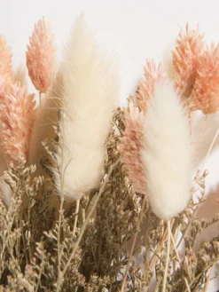 Trockenblume, Beige/Rosa -Haushaltsgegenstände Geschäft Flowerbouquet Trockenblume Rosa BeigeRosa 40 lup