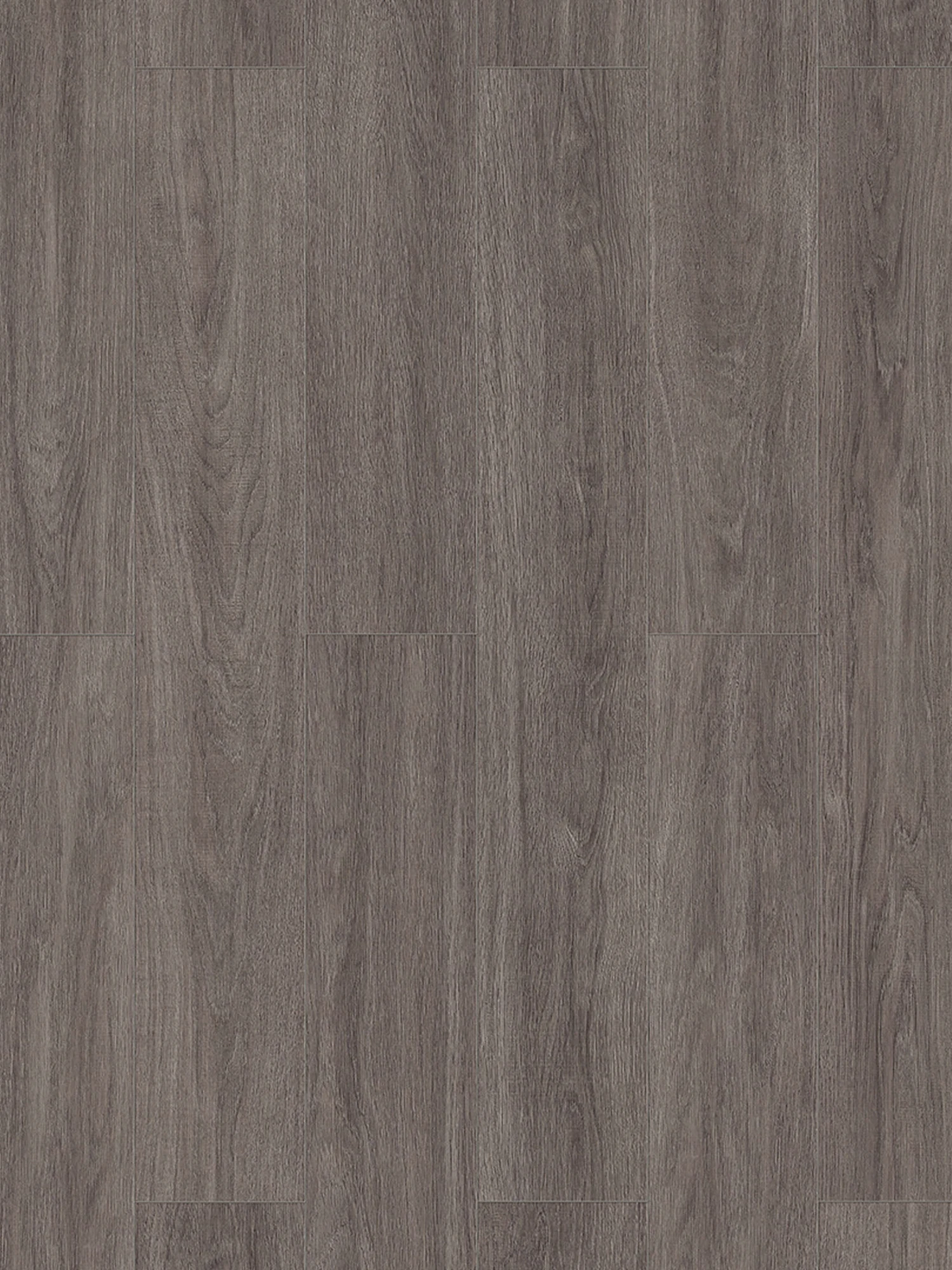 Klick-Laminat, Greige Oak 62255 3 Klick-Laminat, Greige Oak 62255 – Bild 3