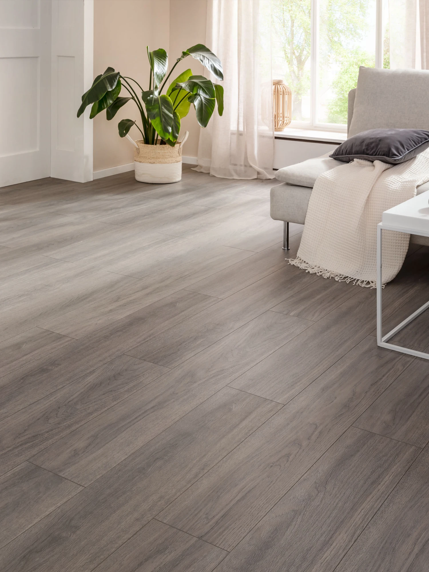 Klick-Laminat, Greige Oak 62255 1 Klick-Laminat, Greige Oak 62255