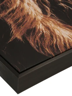 Leinwandbild, Braun -Haushaltsgegenstände Geschäft Highlandrind Leinwandbild Braun 83x103 lup2