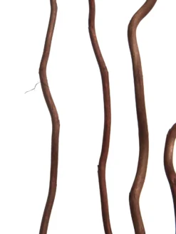 Trockenblume, Dunkelbraun -Haushaltsgegenstände Geschäft Kuwastaebe Trockenblume Braun Dunkelbraun 80cm lup