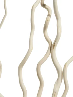 Trockenblume, Weiss -Haushaltsgegenstände Geschäft Kuwastaebe Trockenblume Weiss 80cm lup