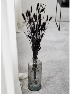 Trockenblume, Schwarz -Haushaltsgegenstände Geschäft Lagurus Trockenblume Schwarz 75cm mil