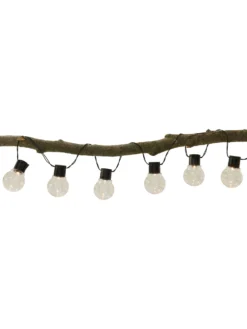 Lichterkette, Transparent -Haushaltsgegenstände Geschäft LightBulb Lichterkette Transparent 200 per2