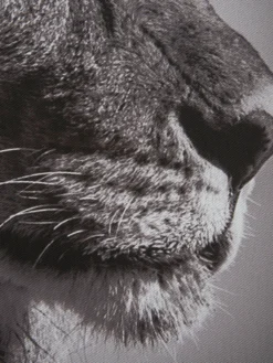 Leinwand-Druck-gerahmt, Dunkelgrau -Haushaltsgegenstände Geschäft Lionhead Druckgerahmt Grau Dunkelgrau 50x70 lup