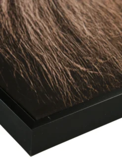 Leinwand-Druck-gerahmt, Braun -Haushaltsgegenstände Geschäft Loewenkoenig Druckgerahmt Braun 50x70 lup2