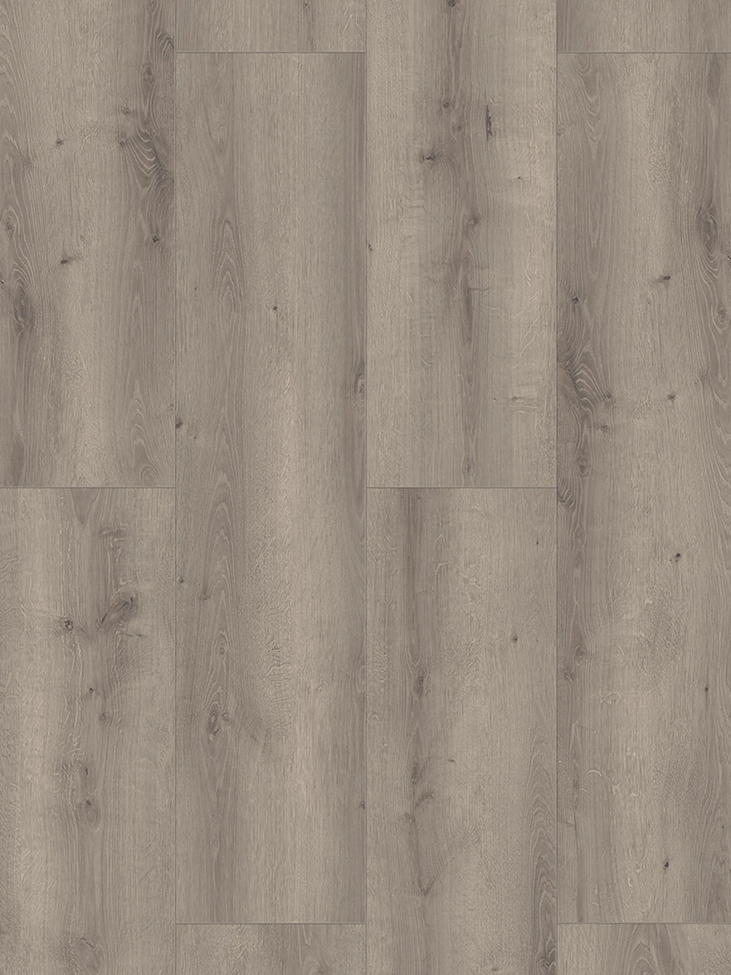 Klick-Laminat, Bright Grey Oak 62266 3 Klick-Laminat, Bright Grey Oak 62266 – Bild 3