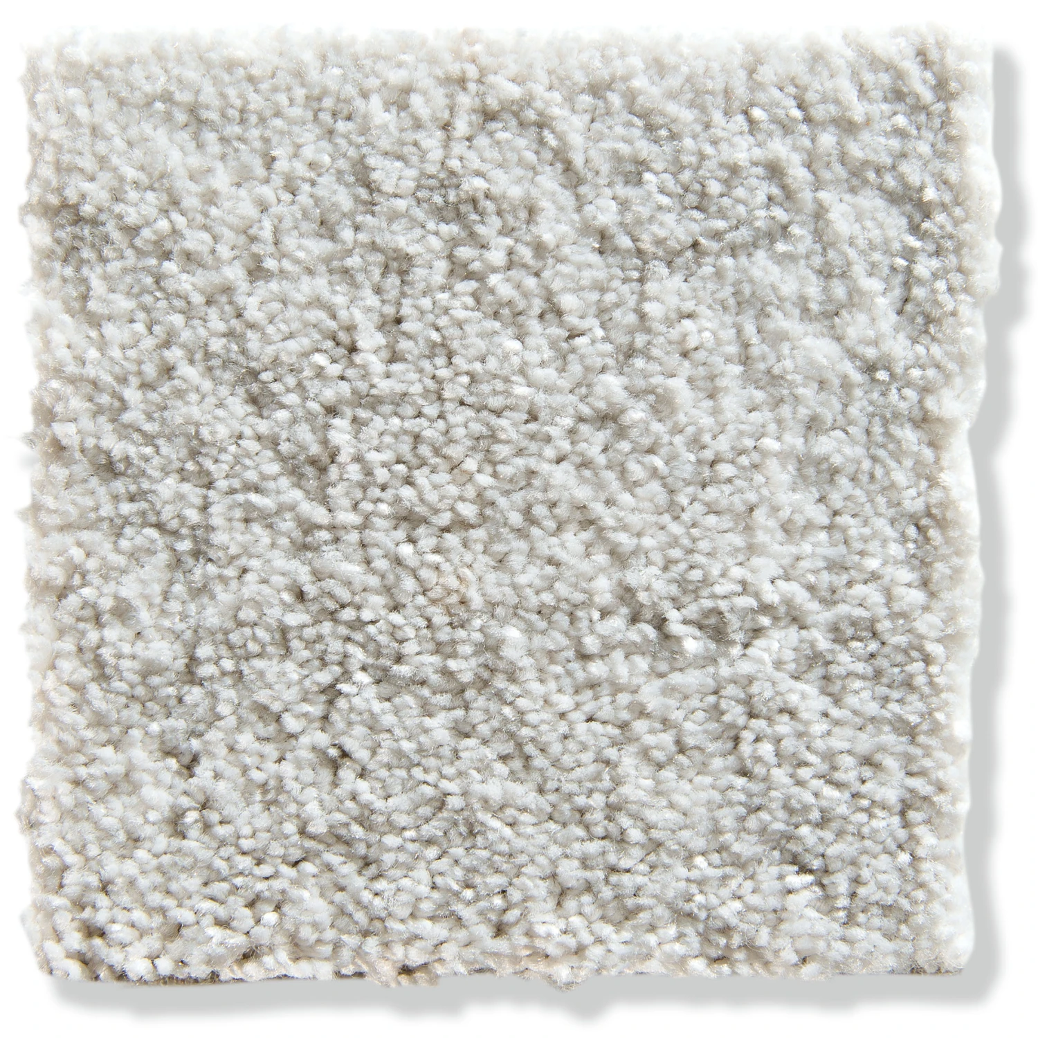 Velours-Teppichboden, Lichtgrau 09 2 Velours-Teppichboden, Lichtgrau 09 – Bild 2