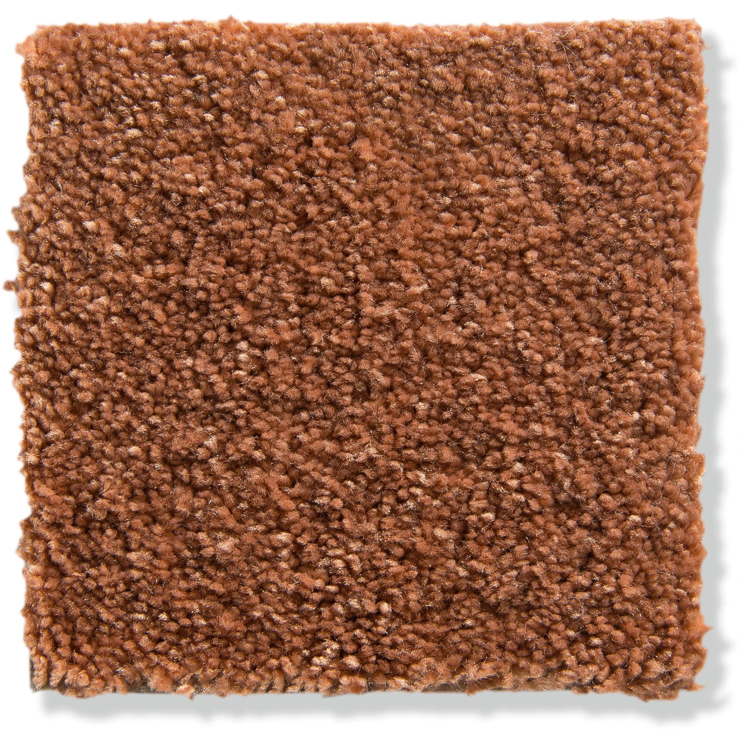 Velours-Teppichboden, Kupfer 84 2 Velours-Teppichboden, Kupfer 84 – Bild 2