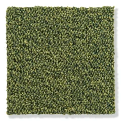 Schlingen-Teppichboden, Hellgrün