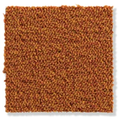 Schlingen-Teppichboden, Terra