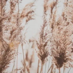Leinwand-Druck-gerahmt, Dunkelbeige -Haushaltsgegenstände Geschäft Parat Druckgerahmt Beige Dunkelbeige 52x72 lup