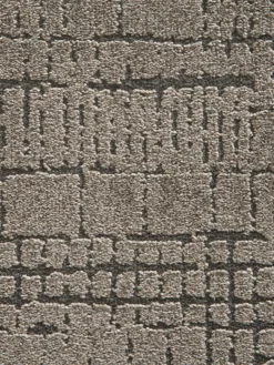 Moderner Teppich, Taupe -Haushaltsgegenstände Geschäft Pardo DesignerTeppich Beige Taupe 160x230 lup