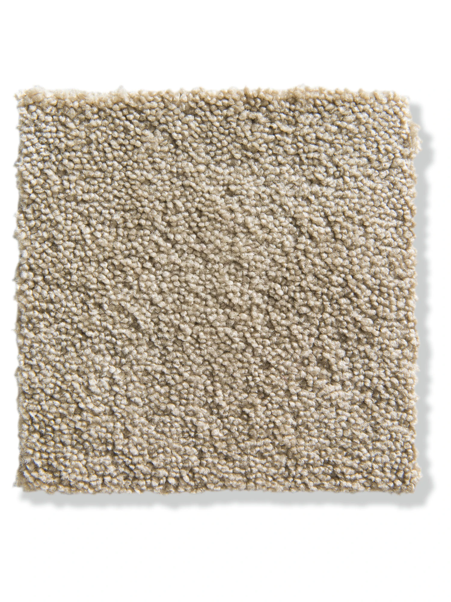 Velours-Teppichboden, Pearl 72 1 Velours-Teppichboden, Pearl 72