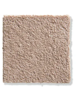 Velours-Teppichboden, Rose 12