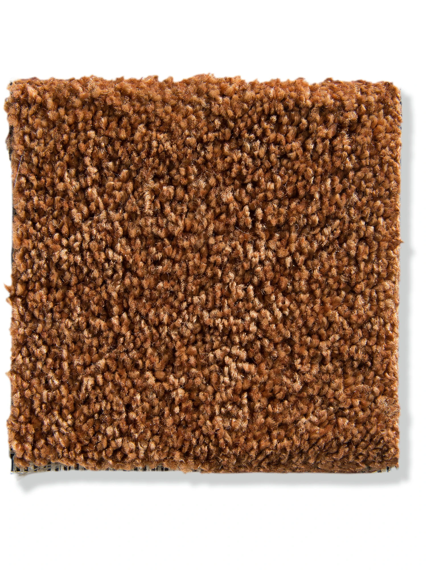 Velours-Teppichboden, Terra 2 Velours-Teppichboden, Terra – Bild 2