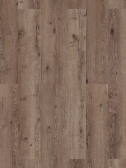 Klick-Laminat, Wildeiche 62259 -Haushaltsgegenstände Geschäft Premium Laminat Wildeiche lup2