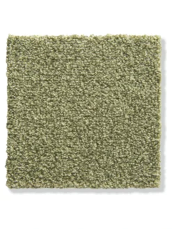 Velours-Teppichboden, Green