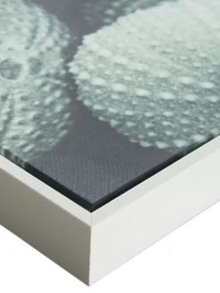 Leinwand-Druck-gerahmt, Hellgrün -Haushaltsgegenstände Geschäft Seeigel Druckgerahmt Gruen Hellgruen 50x120 lup2