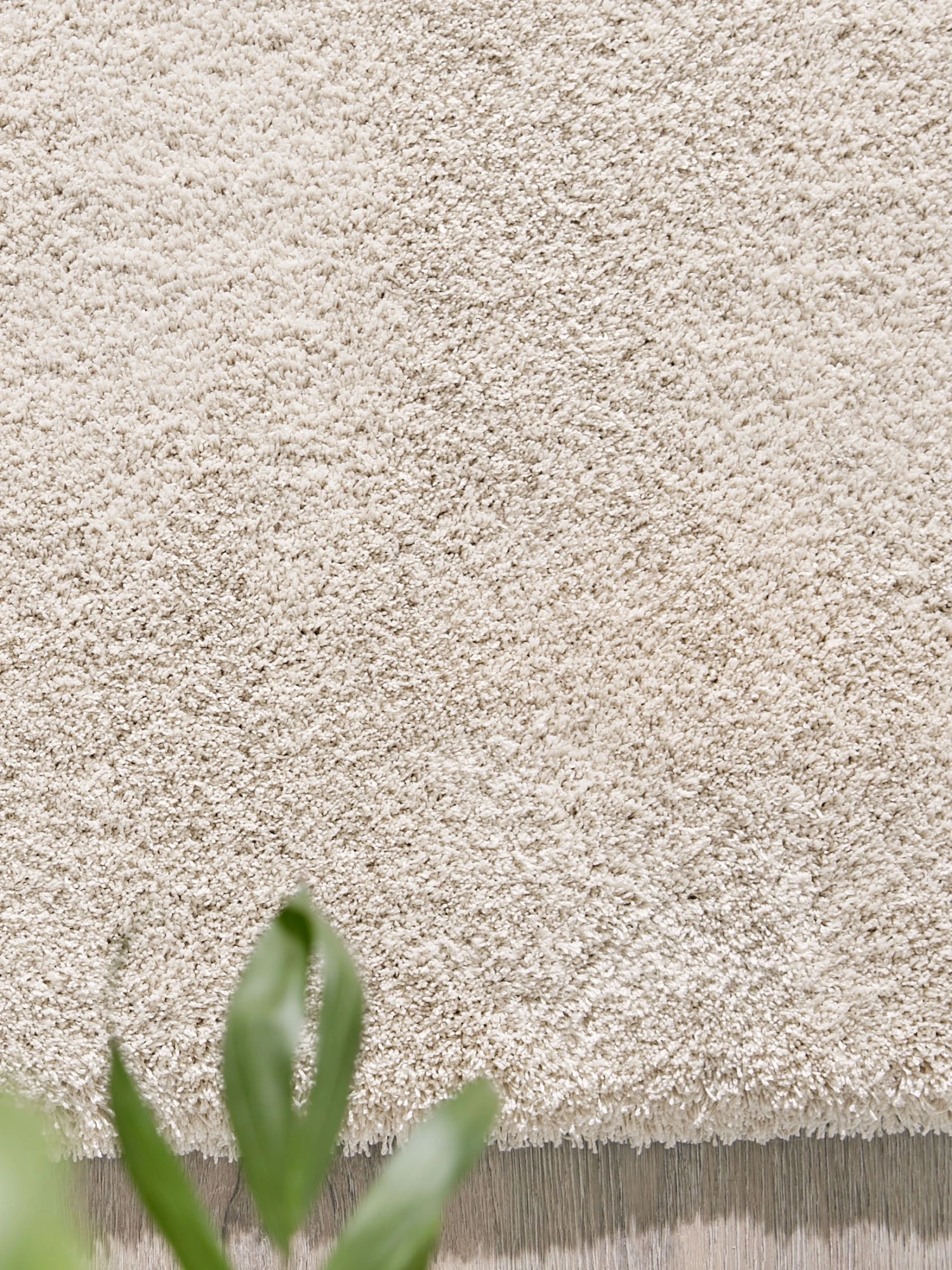 Hochflor-Teppich, Cream 2 Hochflor-Teppich, Cream – Bild 2