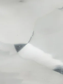 Schale, Silber -Haushaltsgegenstände Geschäft Shiny Schale Silber lup