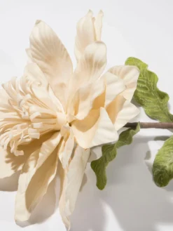 Kunstblume, Hellbeige -Haushaltsgegenstände Geschäft Softflower Kunstblume Creme Hellbeige 10x112 lup