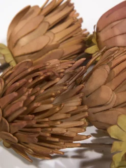 Kunstblume, Orange -Haushaltsgegenstände Geschäft Softflower Kunstblume Terra Orange 103 lup