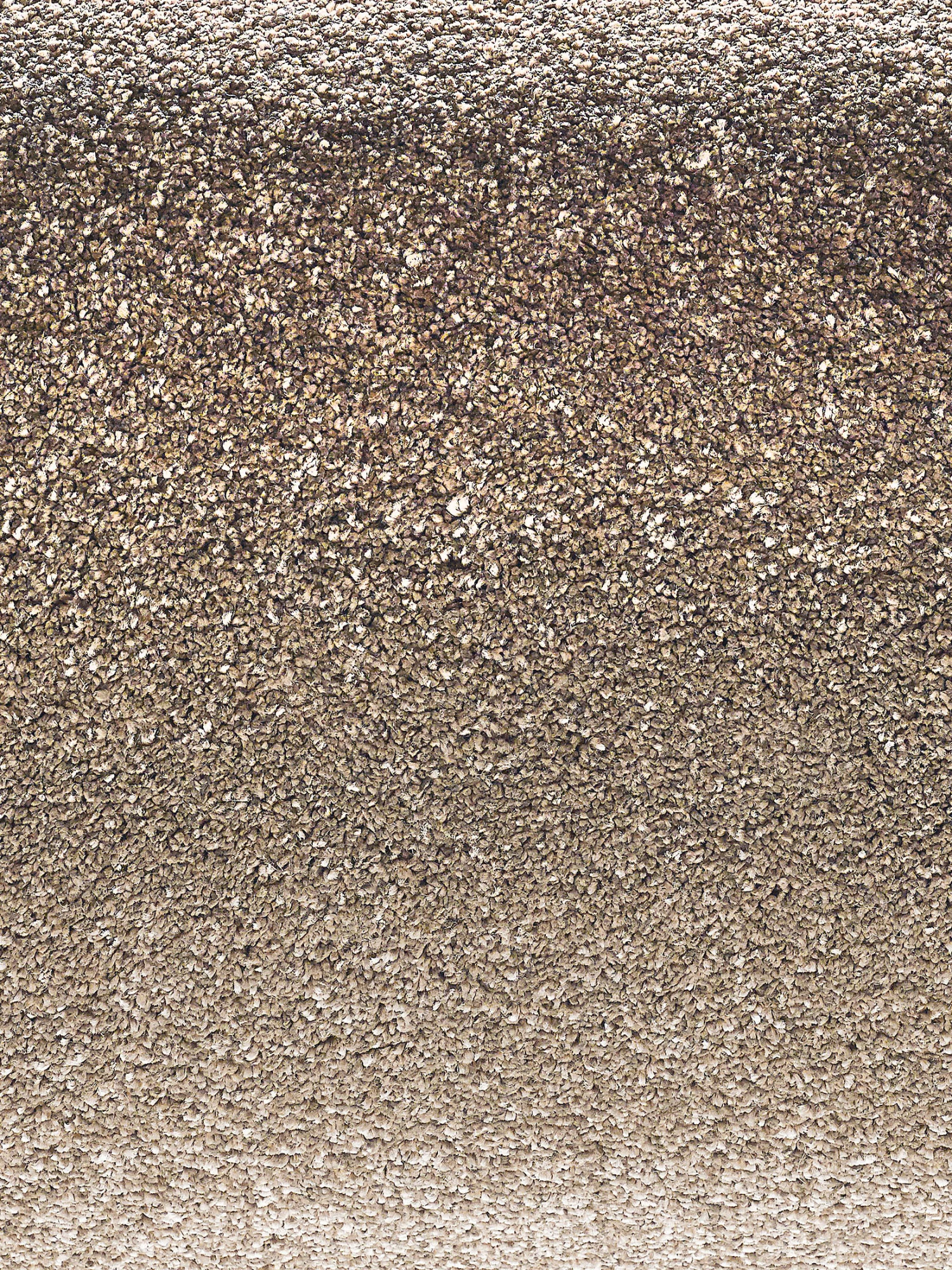 Hochflor-Teppich, Savanne 3 Hochflor-Teppich, Savanne – Bild 3