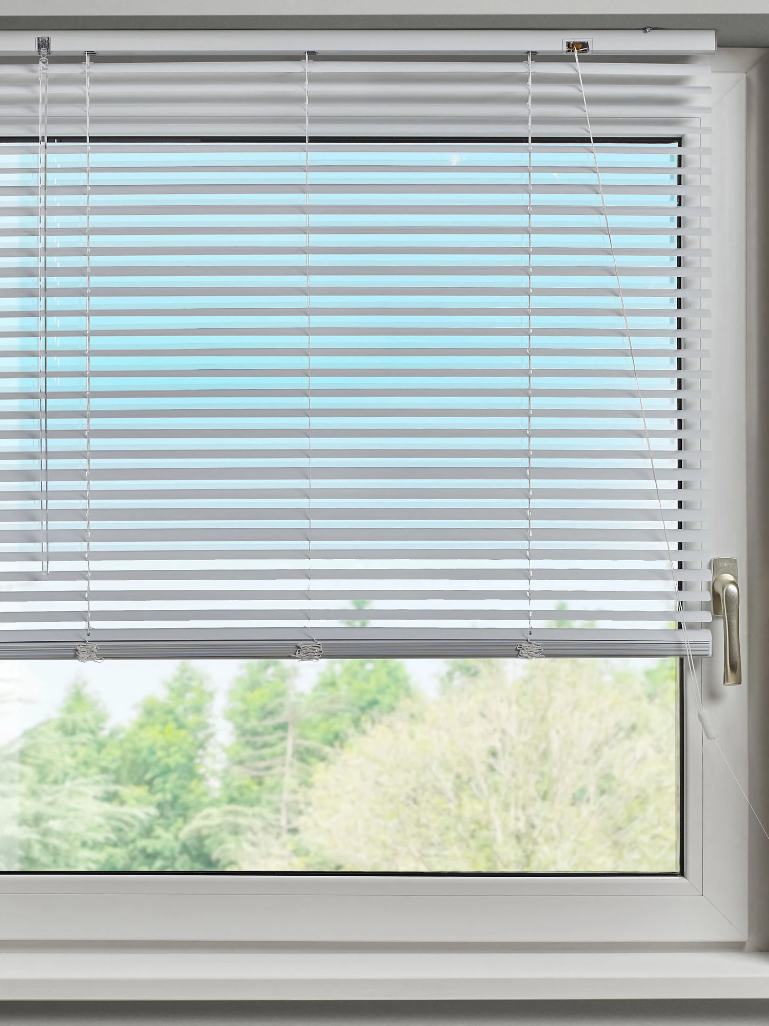 Jalousie, Weiss 2 Jalousie, Weiss – Bild 2