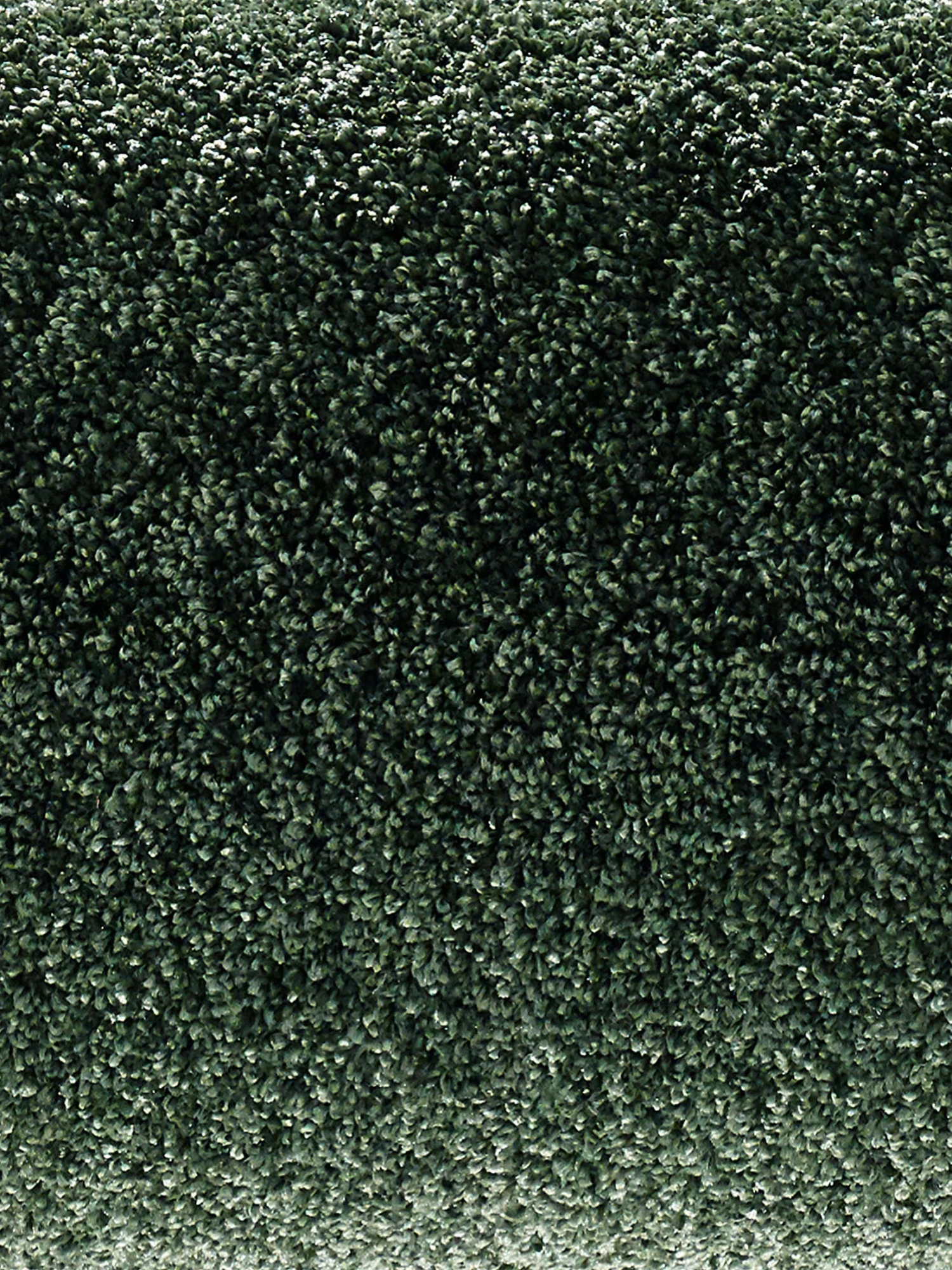 Velours-Teppichboden, Olive 27 3 Velours-Teppichboden, Olive 27 – Bild 3