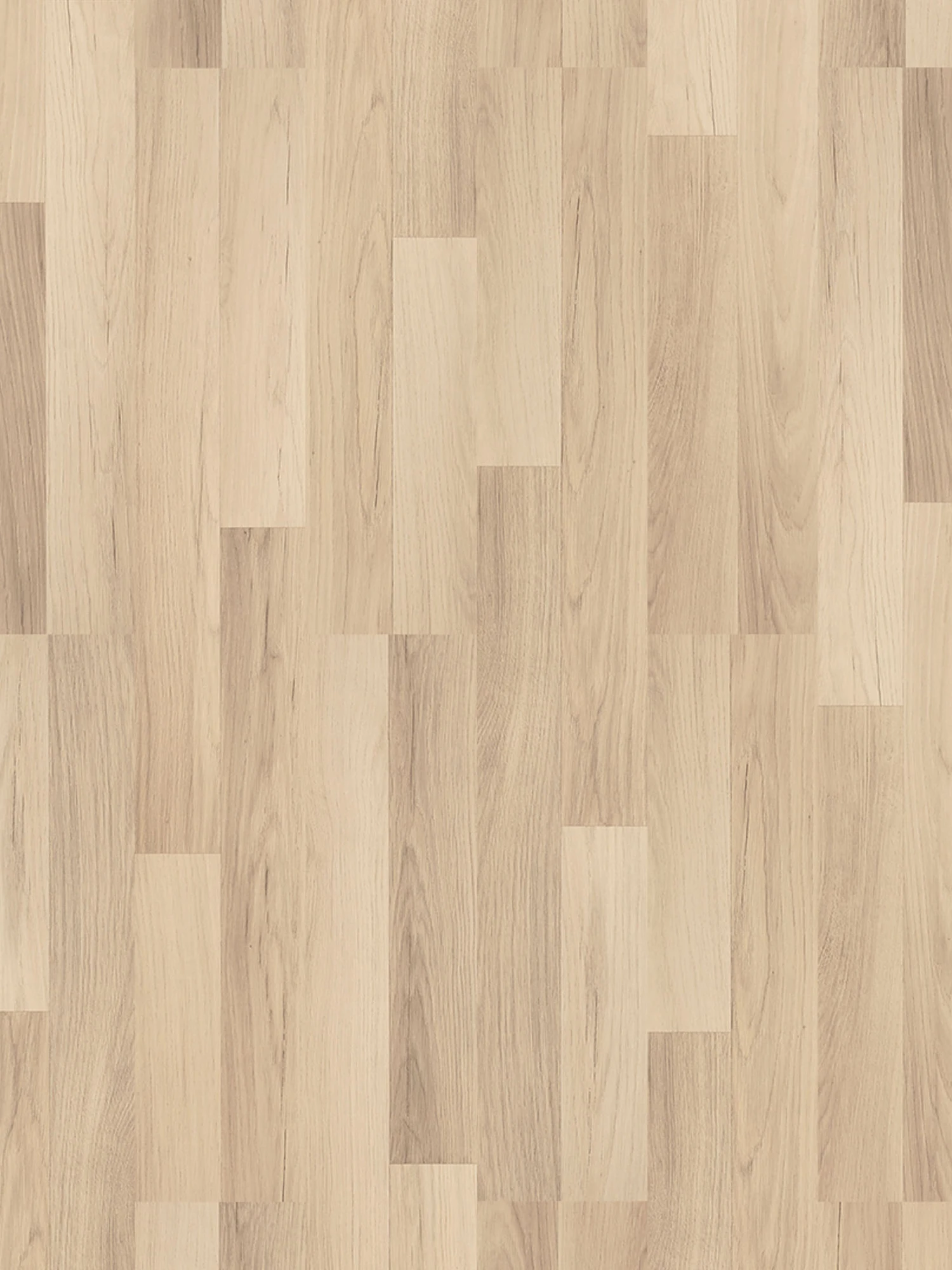 Klick-Laminat, Eiche Hell 62250 3 Klick-Laminat, Eiche Hell 62250 – Bild 3